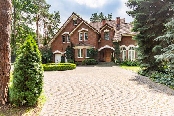 Best Best Driveway Pavers  in Cannon Falls, MN