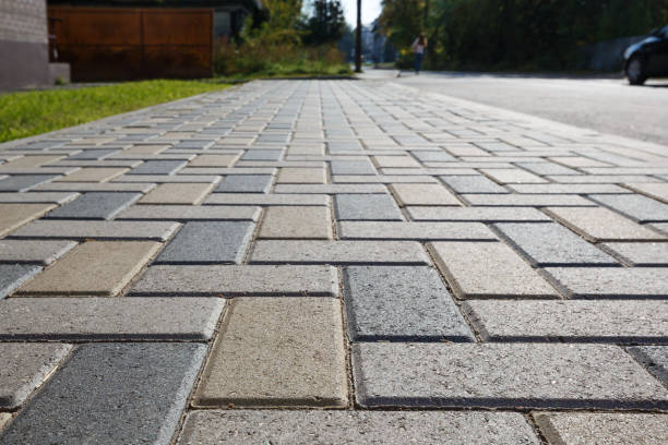 Best Residential Paver Driveway  in Cannon Falls, MN
