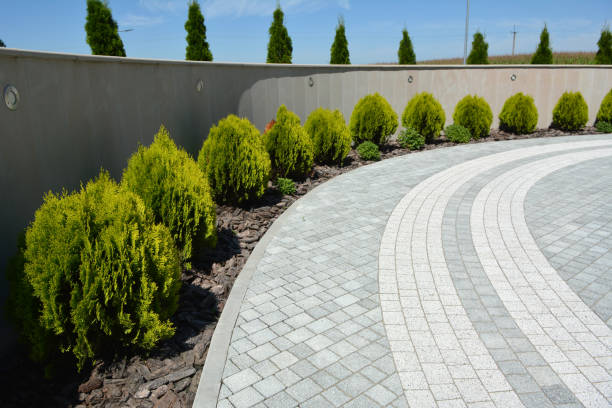 Best Permeable Paver Driveway  in Cannon Falls, MN