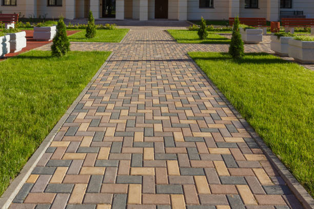 Best Residential Driveway Paver Services  in Cannon Falls, MN